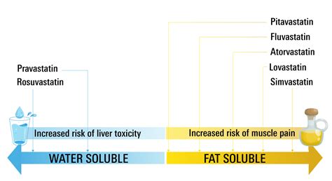 Factors to Consider when Choosing a Statin