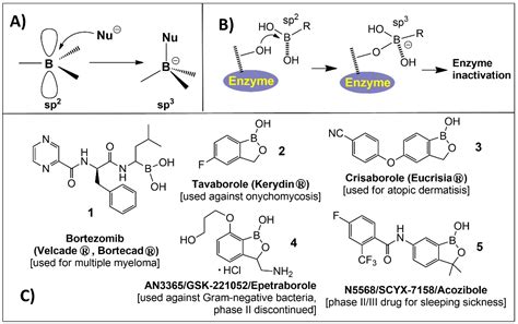 Molecules | Free Full-Text | Organoboron Compounds: Effective Antibacterial and Antiparasitic Agents