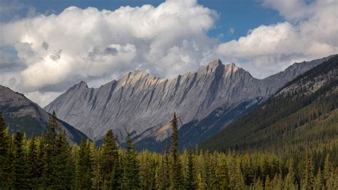 Mountain Ridge, Jasper National Park, Alberta [OC] [5603 x 3152] : r/EarthPorn