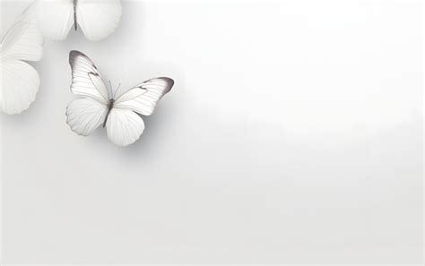 Premium AI Image | White butterfly on a white background