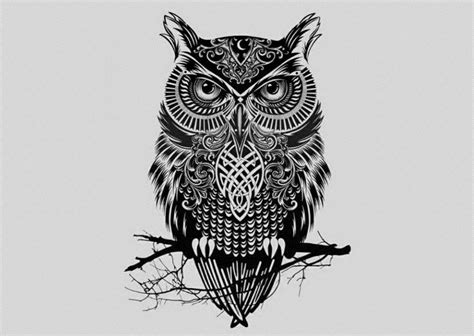 Owl Tribal Tattoo