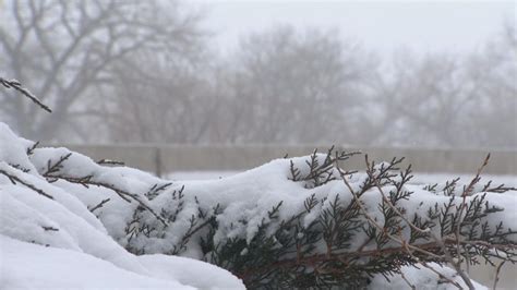 Winter storm gives Northern Colorado welcome boost to snow totals ...