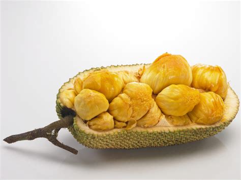 Cempedak vs Jackfruit: Key Differences - A-Z Animals