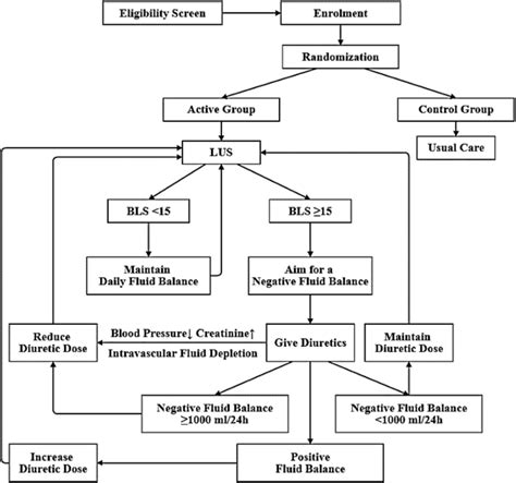 Lung Ultrasound Guided Fluid Management Protocol for the Critically Ill Patient: study protocol ...