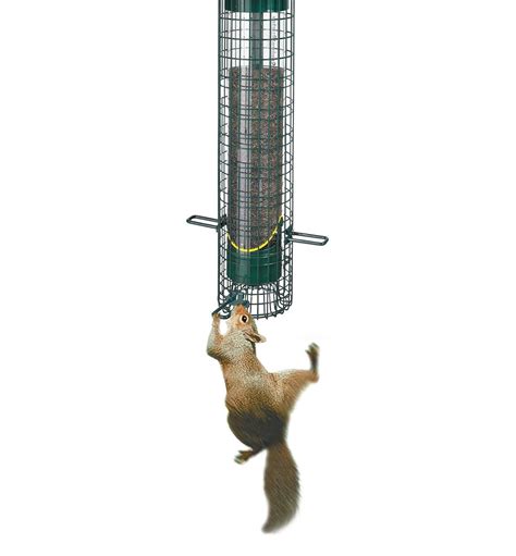 Squirrel Buster Bird Feeders - Lee Valley Tools