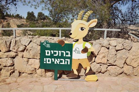 Israel National Park Pass – Visit 68 Sites in $50! – Wonder Israel