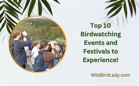 Top 10 Birdwatching Events and Festivals to Experience!