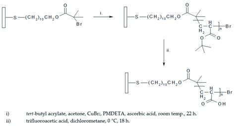 Scheme 1. Synthetic route for polymerization of poly(acrylic acid)... | Download Scientific Diagram