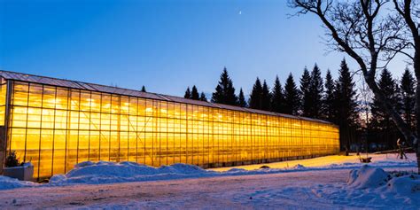 How to Prepare Your Greenhouse for Winter - NIP Group