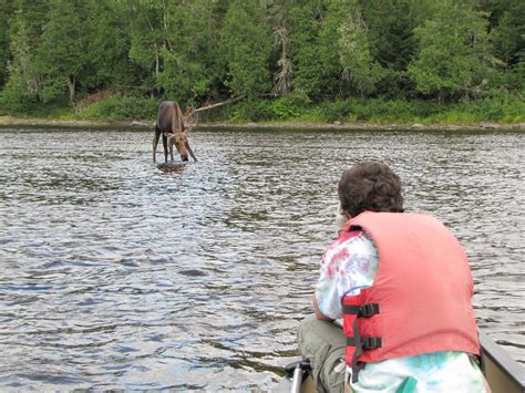 Allagash River Canoes, Waterway, Wilderness, Sling Backpack, Sausage ...