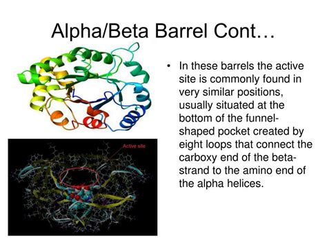 Alpha Beta Barrel