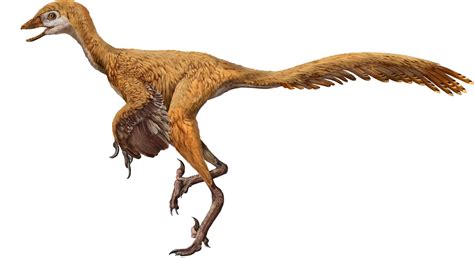 Mei long | Dinosaurs Wiki | Fandom