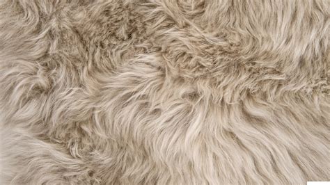 How to clean sheepskin rug – Notes From The Porch