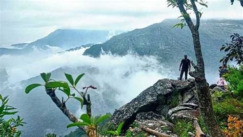 Trekking in Kotagiri | Trekking near Kotagiri