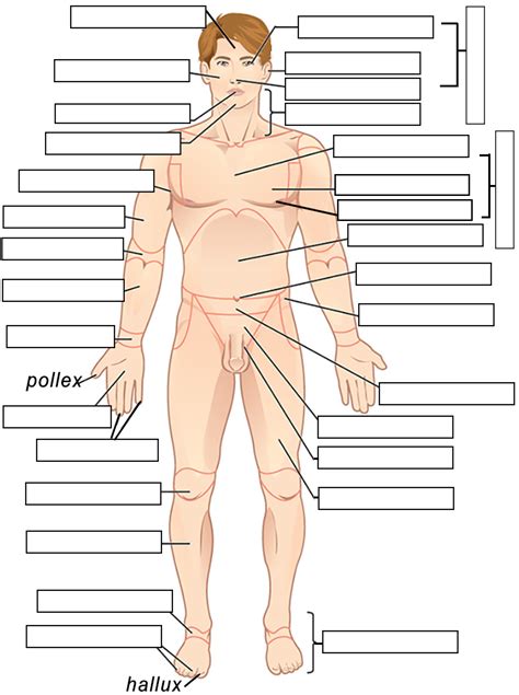 32 Label Of The Body - Labels Design Ideas 2020