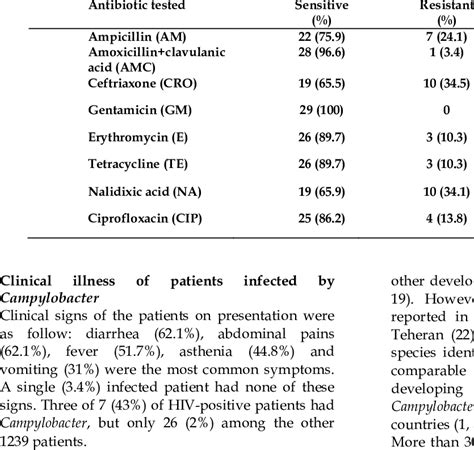 SUSCEPTIBILITY OF CAMPYLOBACTER STRAINS TO ANTIBIOTICS | Download Table