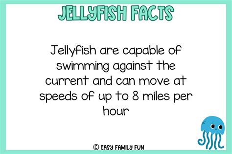 Dive Into These Facts About Jellyfish [Free Fact Cards] - Easy Family ...