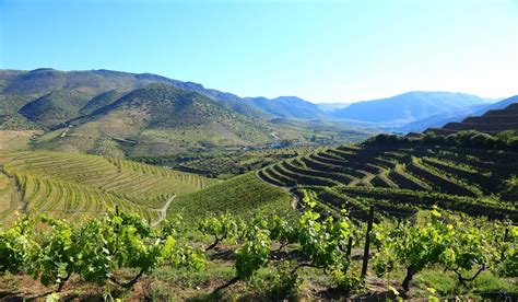 Douro International Park and the Côa Valley Walking Holiday and Culture – My Ideal Traveling