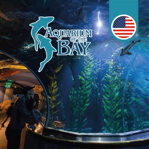 June Competition | USA | June | Aquarium of the Bay | Smartsave