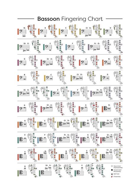 Bassoon Fingering Chart Digital Art by Penny And Horse - Fine Art America