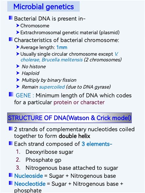 Bacterial Genetics: An Overview of Bacterial Chromosomes, Plasmids, DNA Structure, Mutation, and ...