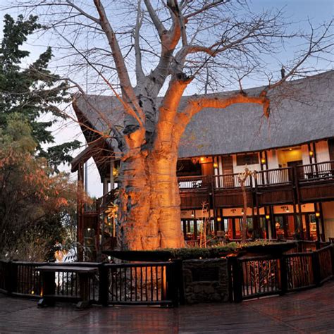 Cresta Mowana Safari Lodge | Safari Lodge Chobe National Park