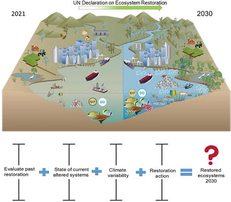 Frontiers | UN Decade on Ecosystem Restoration 2021–2030—What Chance for Success in Restoring ...
