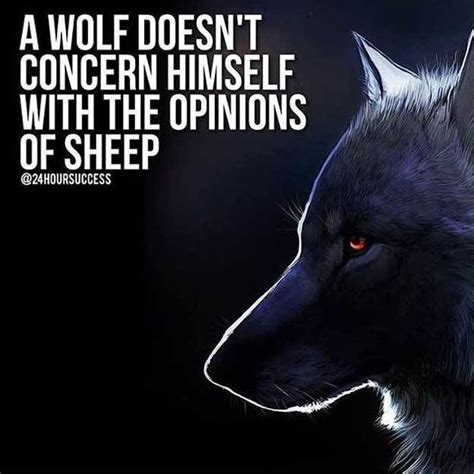 24 best images about Wolf Quotes | Motivational Wolf Quote Images ...