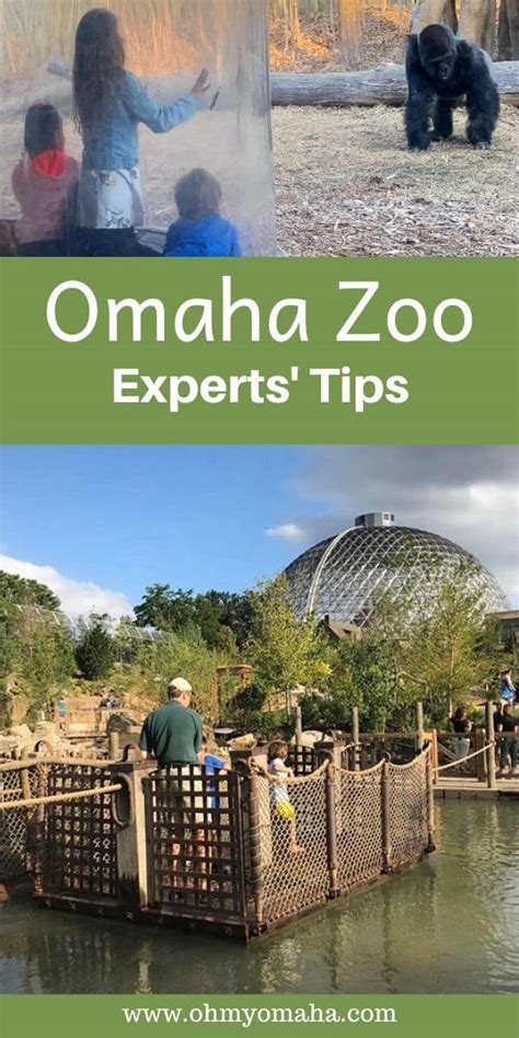 40+ Expert Tips For Visiting Omaha’s Zoo (2024) – Oh My! Omaha