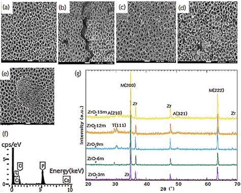 Surface morphology of the ZrO2 samples after immersion in SBF for 8... | Download Scientific Diagram