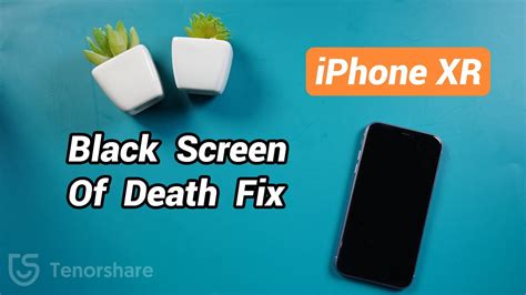 iPhone XR Black Screen of Death Fix (iOS 14 Supported) - YouTube