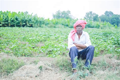 Premium Photo | Indian poor farmer in farm sad farmer loss of farmer