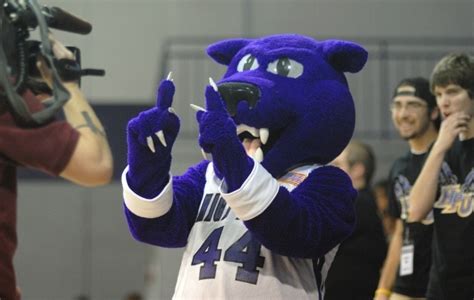 High Point University Panthers - HPU Mascot: Prowler | High point university, College fun, Mascot