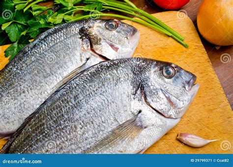 Gilthead Fishes Ready To Preparation Stock Image - Image of gilthead, dorade: 29799371