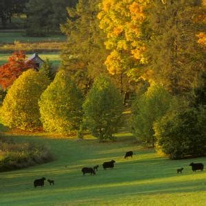 Arbnet | Morris Arboretum of the University of Pennsylvania