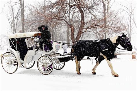 Central Park Snowfall Carriage Ride Photograph by Regina Geoghan - Fine ...