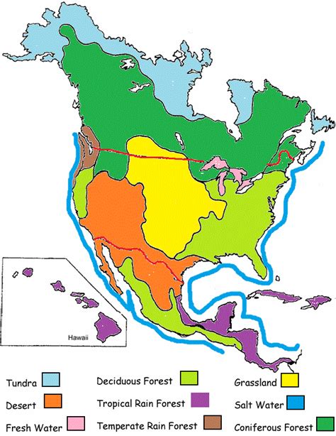 Biome Map Coloring Worksheet Answers