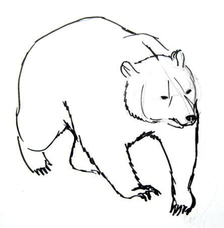 Learn how to draw a brown Bear | Drawings, Bear sketch, Bear paintings