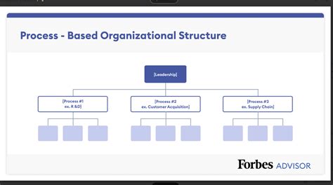 7 Organizational Structure Types (With Examples) – Forbes Advisor