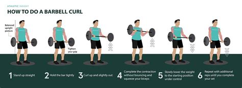 How to Do Barbell Curl: Variations, Proper Form, Techniques, Barbell - Athletic Insight