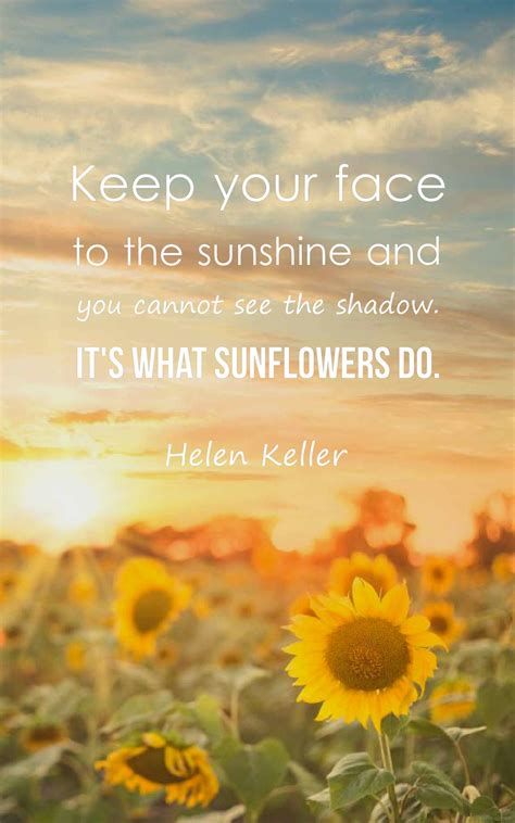 23 Beautiful Sunflower Quotes with Images