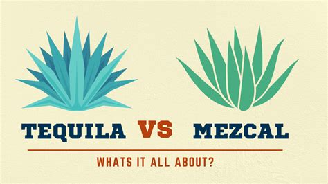 Tequila vs Mezcal - What’s the difference? — Smartblend