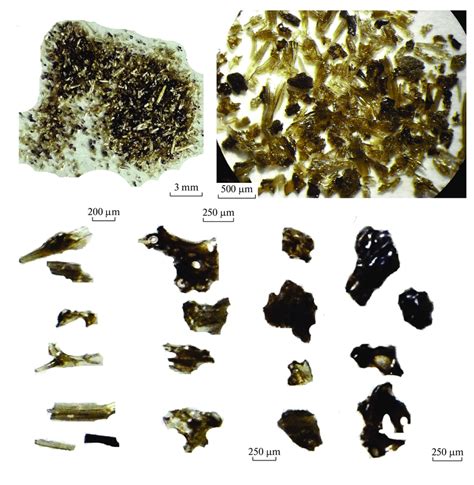 The morphology and sizes of tephra particles in the sample taken from... | Download Scientific ...