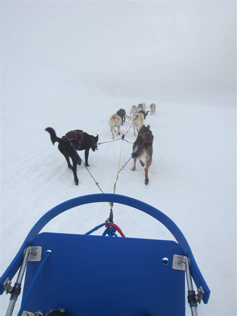 www.aaa.com | Dog sledding, Winter travel, Skagway