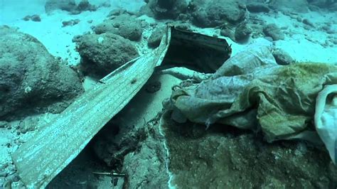 Underwater Tsunami Debris in American Samoa - YouTube