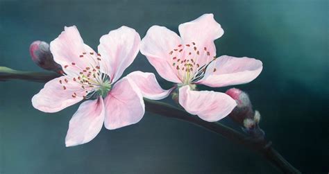 Cherry blossom - Oil painting by Ele-Art on DeviantArt