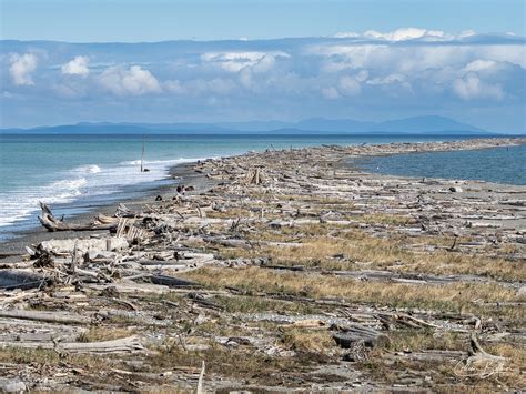 Dungeness spit at high tide – Sequim Daily Photo