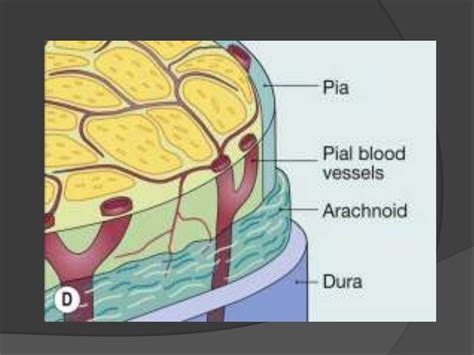 Traumatic optic neuropathy