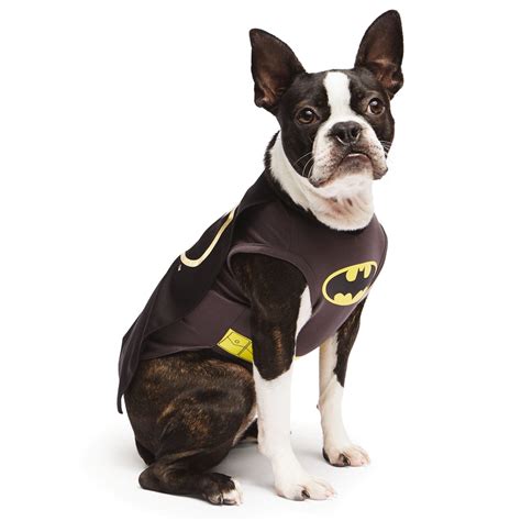 Batman | Superhero Costumes For Dogs | POPSUGAR Pets Photo 17