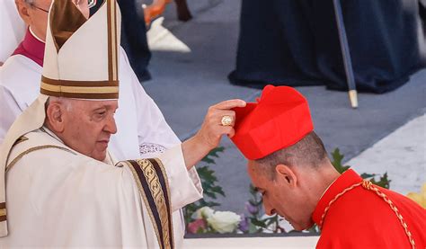 Cardinal Fernández: I Will Not Be In News in Future - CatholicVote org